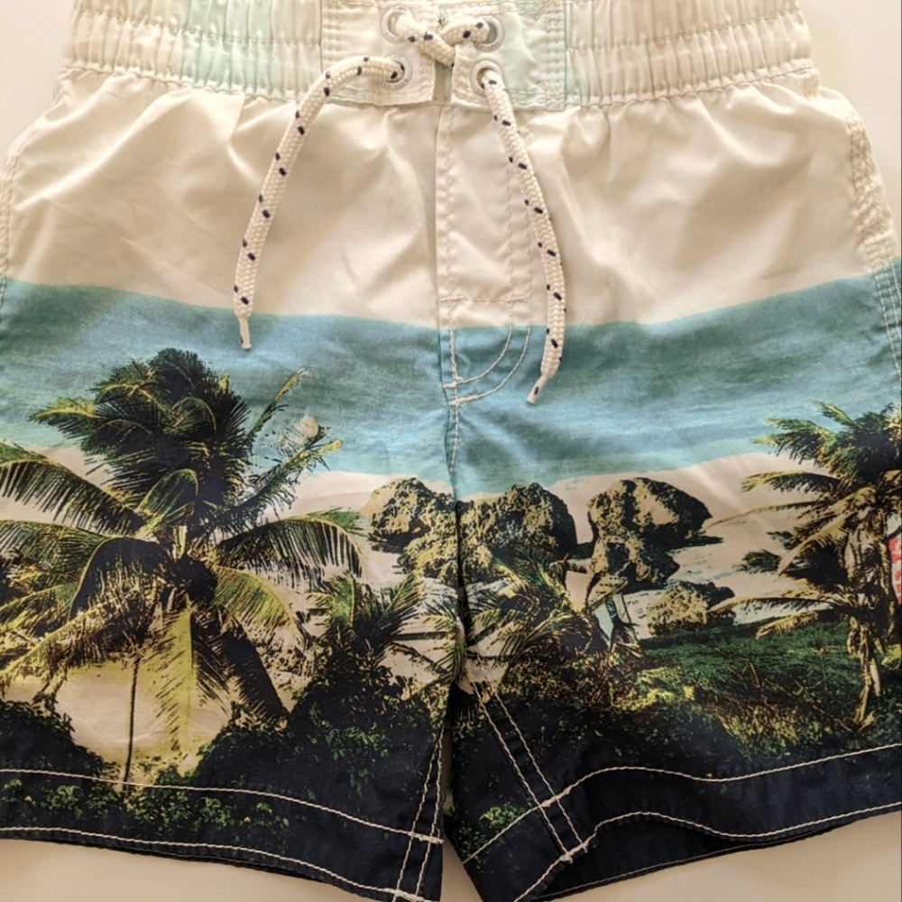 Baby Gap Boys Swim Trunks